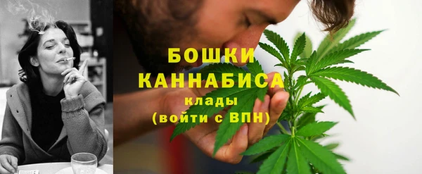 прущие крисы Арсеньев