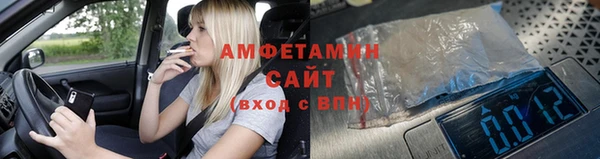 гидра Аркадак
