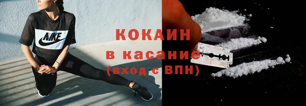 гидра Аркадак