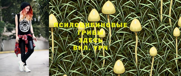 первитин Армянск