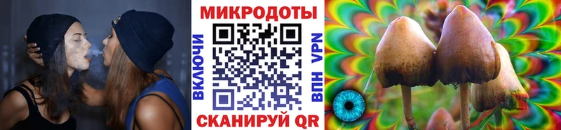 нарко площадка как зайти  цена   Миасс  Псилоцибиновые грибы Psilocybe  гидра сайт 
