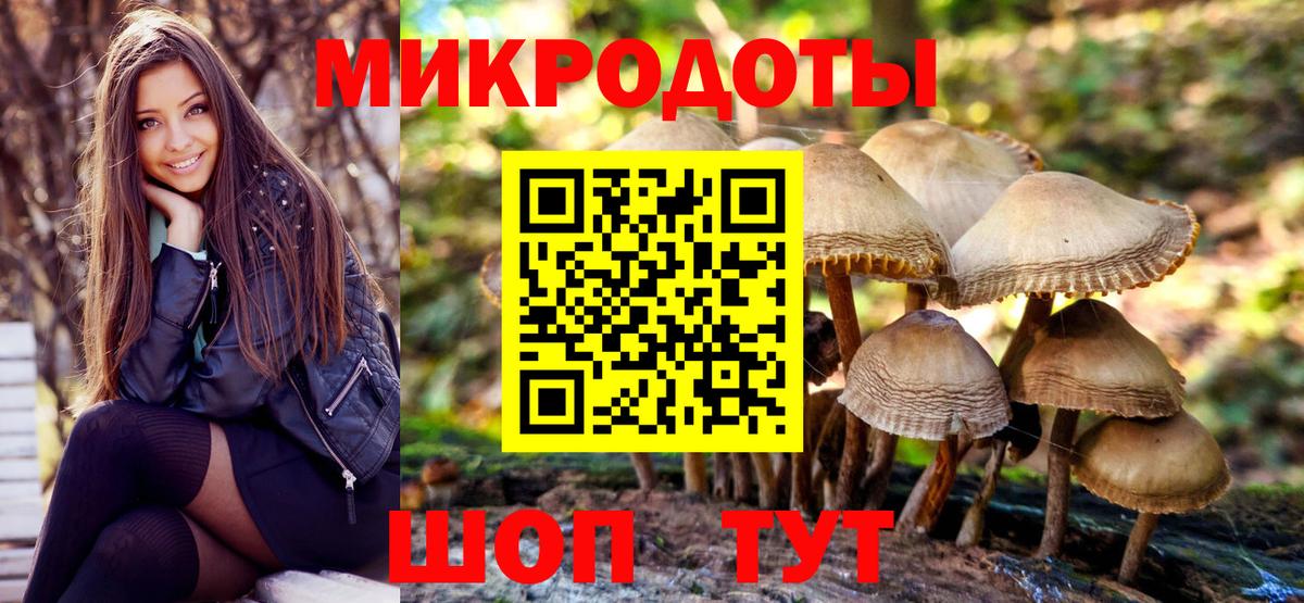 Галлюциногенные грибы Cubensis Миасс