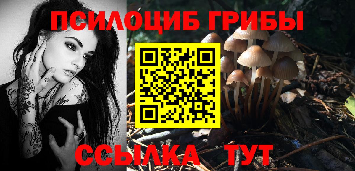 Галлюциногенные грибы MAGIC MUSHROOMS  Вход с VPN  Галлюциногенные грибы Cubensis  Миасс 
